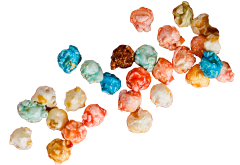 top_img2